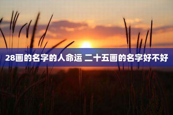 28画的名字的人命运 二十五画的名字好不好