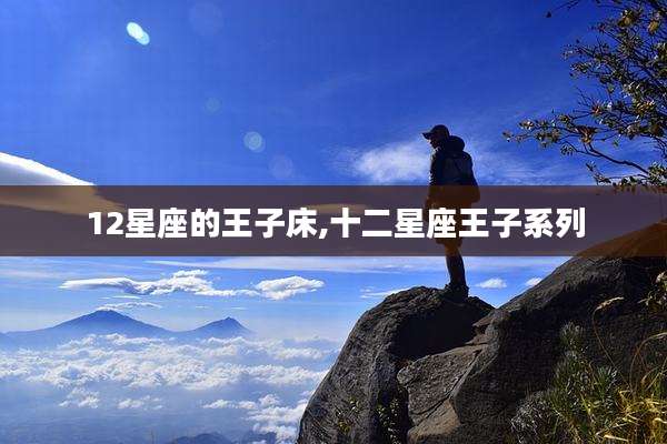 12星座的王子床,十二星座王子系列