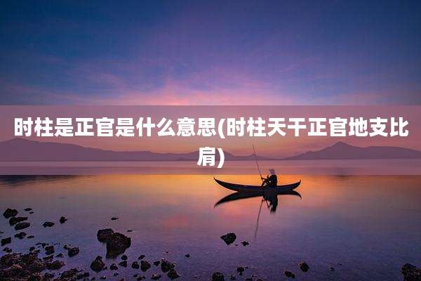 时柱是正官是什么意思(时柱天干正官地支比肩)
