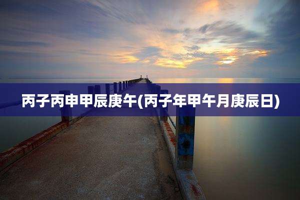 丙子丙申甲辰庚午(丙子年甲午月庚辰日)