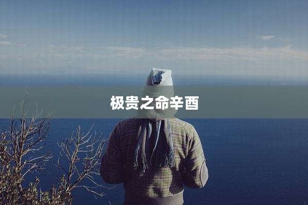 极贵之命辛酉