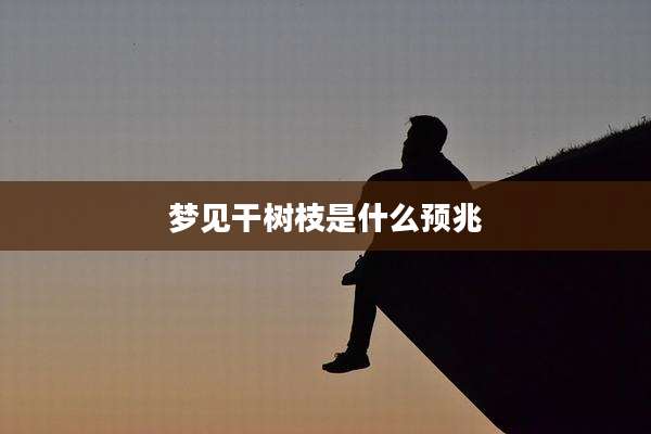 梦见干树枝是什么预兆