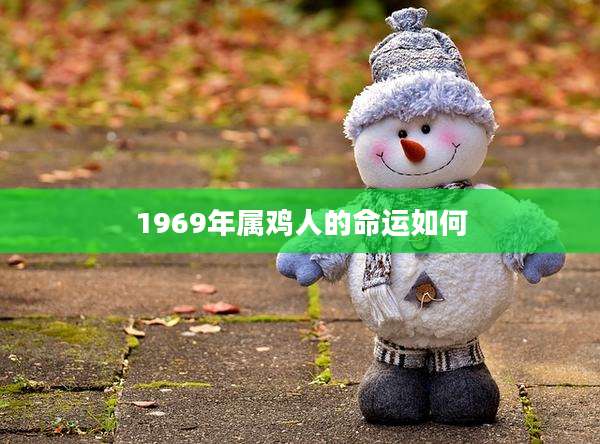 1969年属鸡人的命运如何