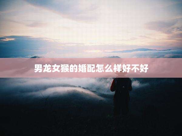 男龙女猴的婚配怎么样好不好