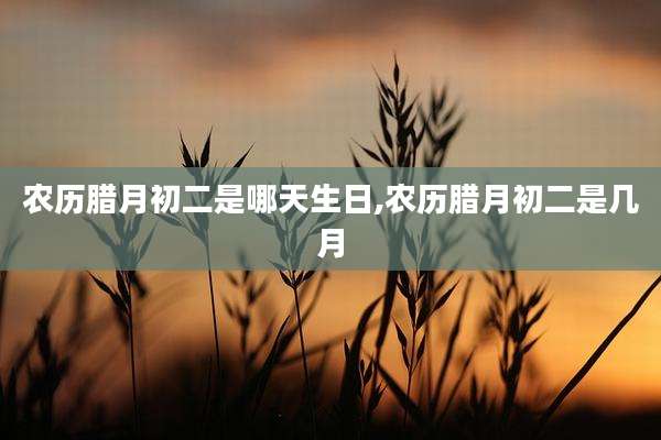 农历腊月初二是哪天生日,农历腊月初二是几月