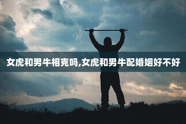女虎和男牛相克吗,女虎和男牛配婚姻好不好