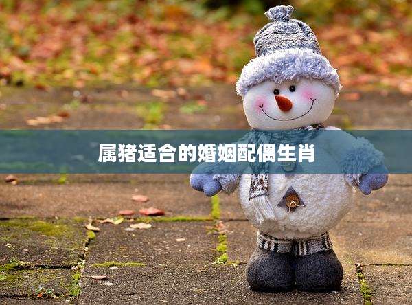 属猪适合的婚姻配偶生肖