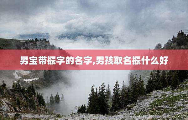 男宝带振字的名字,男孩取名振什么好