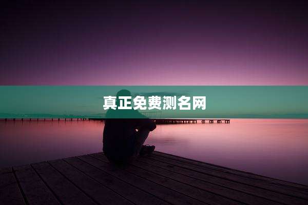 真正免费测名网