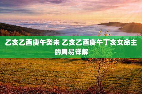 乙亥乙酉庚午癸未 乙亥乙酉庚午丁亥女命主的周易详解
