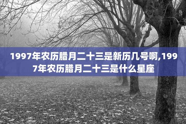 1997年农历腊月二十三是新历几号啊,1997年农历腊月二十三是什么星座