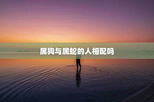 属狗与属蛇的人相配吗