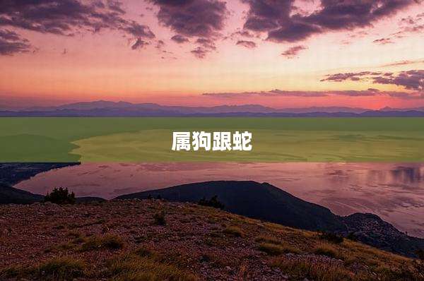 属狗跟蛇