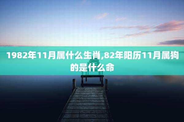 1982年11月属什么生肖,82年阳历11月属狗的是什么命