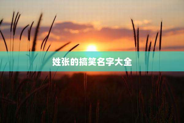 姓张的搞笑名字大全