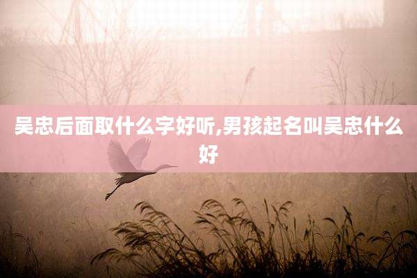 吴忠后面取什么字好听,男孩起名叫吴忠什么好