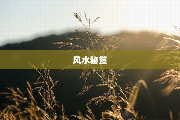 风水秘笈
