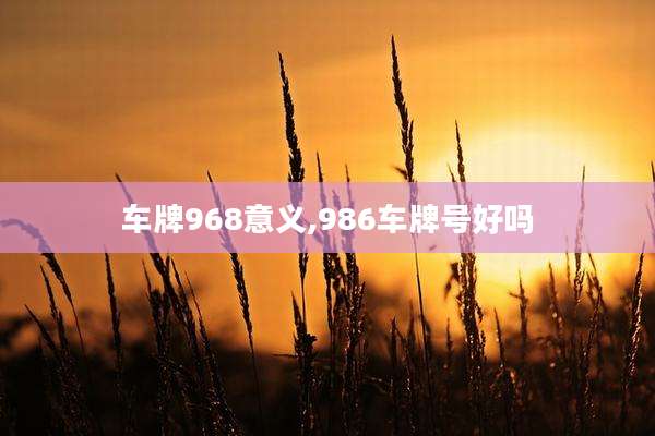 车牌968意义,986车牌号好吗