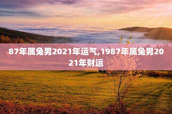 87年属兔男2021年运气,1987年属兔男2021年财运