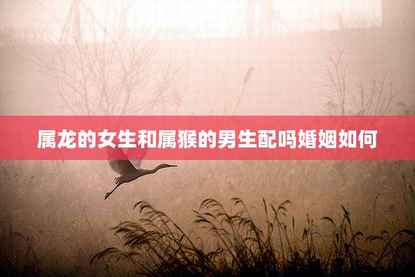 属龙的女生和属猴的男生配吗婚姻如何
