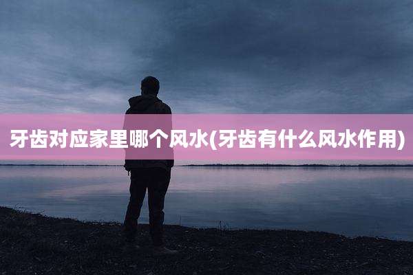牙齿对应家里哪个风水(牙齿有什么风水作用)