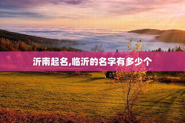 沂南起名,临沂的名字有多少个