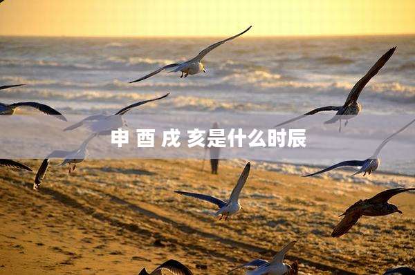 申 酉 戌 亥是什么时辰