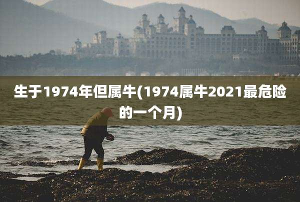 生于1974年但属牛(1974属牛2021最危险的一个月)