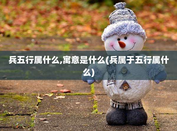兵五行属什么,寓意是什么(兵属于五行属什么)