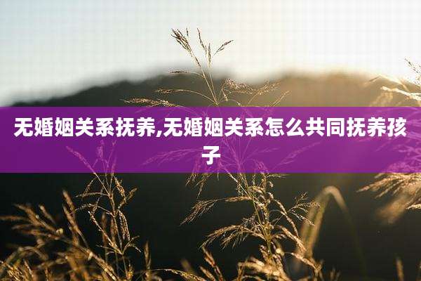 无婚姻关系抚养,无婚姻关系怎么共同抚养孩子
