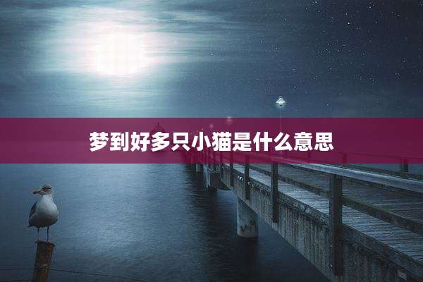 梦到好多只小猫是什么意思