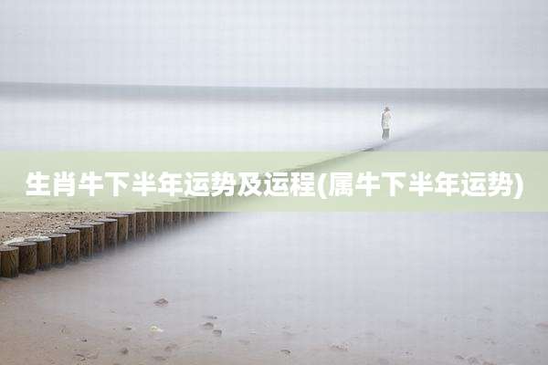 生肖牛下半年运势及运程(属牛下半年运势)