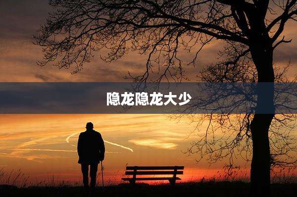 隐龙隐龙大少