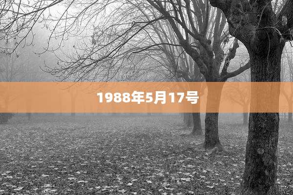 1988年5月17号