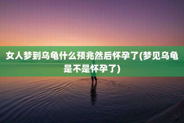 女人梦到乌龟什么预兆然后怀孕了(梦见乌龟是不是怀孕了)