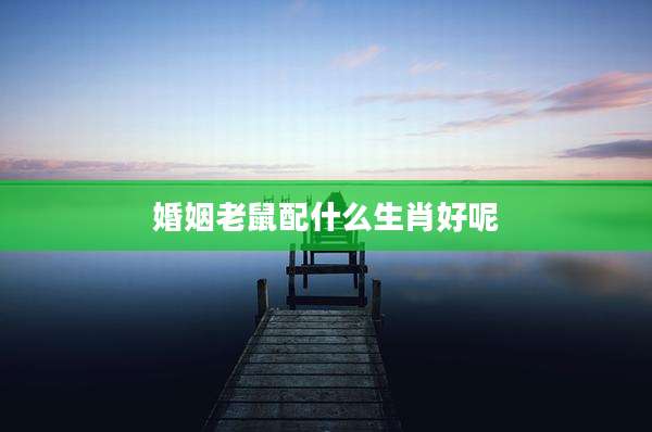婚姻老鼠配什么生肖好呢
