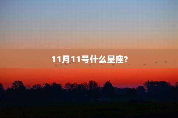 11月11号什么星座?