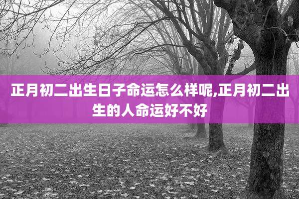 正月初二出生日子命运怎么样呢,正月初二出生的人命运好不好