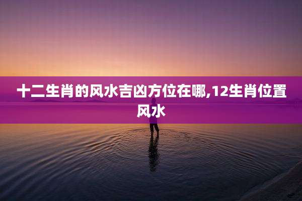 十二生肖的风水吉凶方位在哪,12生肖位置风水