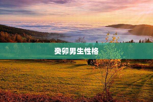 癸卯男生性格