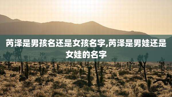 芮泽是男孩名还是女孩名字,芮泽是男娃还是女娃的名字