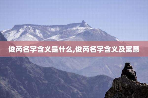 俊芮名字含义是什么,俊芮名字含义及寓意