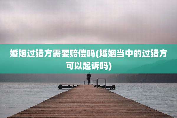 婚姻过错方需要赔偿吗(婚姻当中的过错方可以起诉吗)