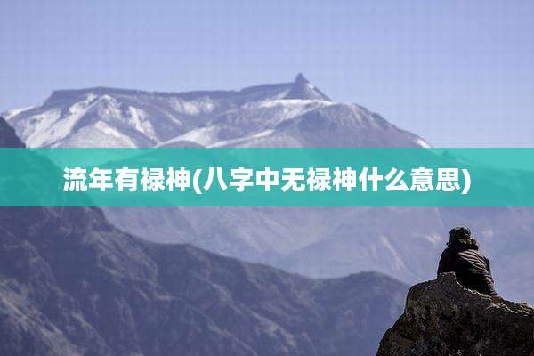 流年有禄神(八字中无禄神什么意思)