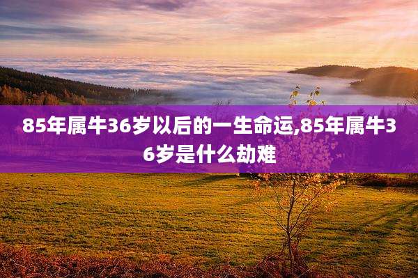 85年属牛36岁以后的一生命运,85年属牛36岁是什么劫难