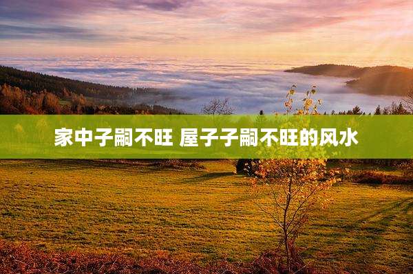 家中子嗣不旺 屋子子嗣不旺的风水