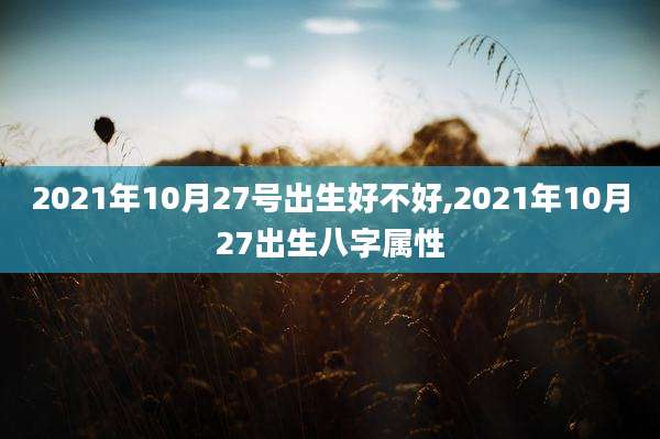 2021年10月27号出生好不好,2021年10月27出生八字属性