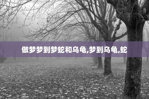 做梦梦到梦蛇和乌龟,梦到乌龟,蛇