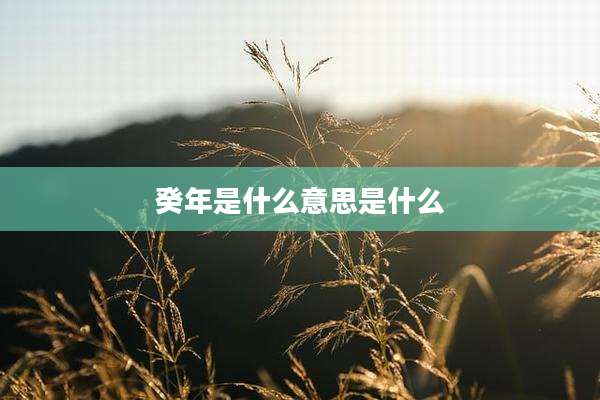 癸年是什么意思是什么