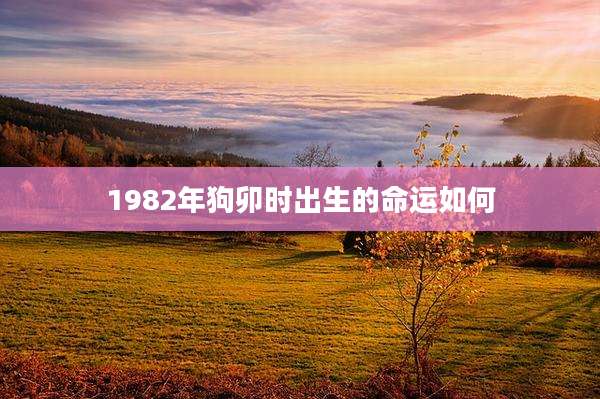 1982年狗卯时出生的命运如何